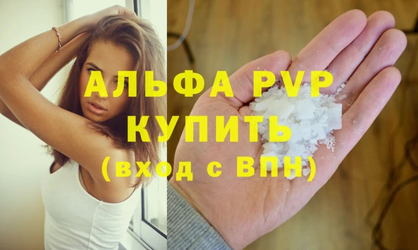 ПСИЛОЦИБИНОВЫЕ ГРИБЫ Новозыбков