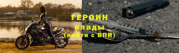 гидра Новодвинск