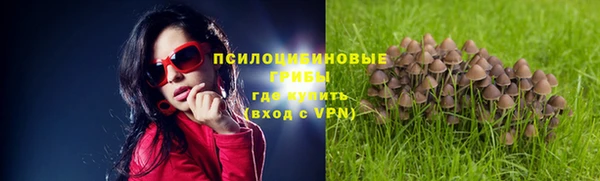 спайс Няндома