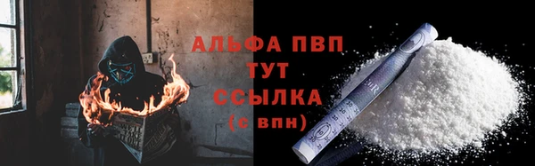 ПСИЛОЦИБИНОВЫЕ ГРИБЫ Новозыбков