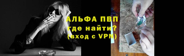 ПСИЛОЦИБИНОВЫЕ ГРИБЫ Новозыбков