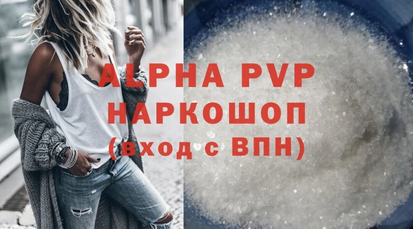 гидра Новодвинск