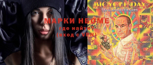 спайс Няндома