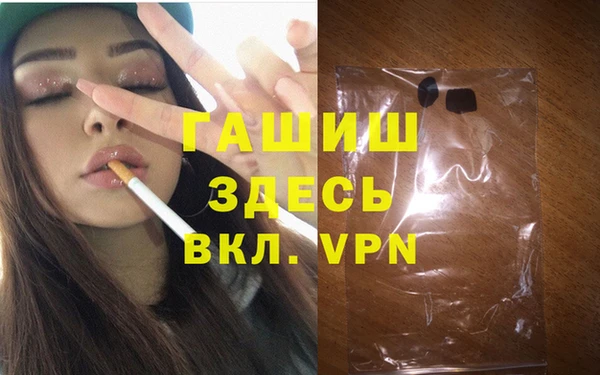гидра Новодвинск