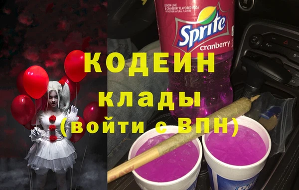 спайс Няндома