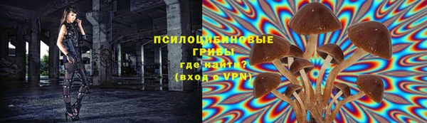 гашиш Новокубанск