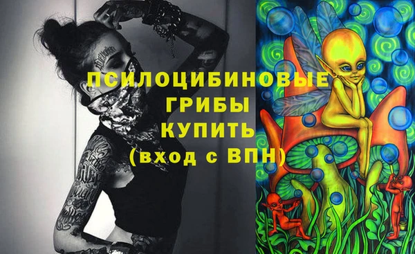 ПСИЛОЦИБИНОВЫЕ ГРИБЫ Новозыбков