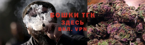 гидра Новодвинск
