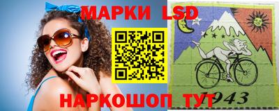СК Дубна