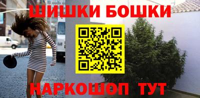 СК Дубна