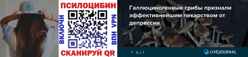Псилоцибиновые грибы MAGIC MUSHROOMS  дарк нет Telegram  Изобильный  купить  цена 