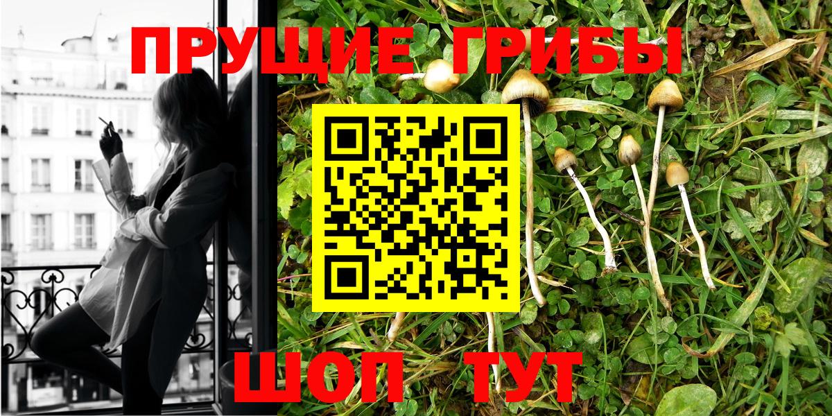 Изобильный  где продают   Вход с VPN  Галлюциногенные грибы GOLDEN TEACHER 