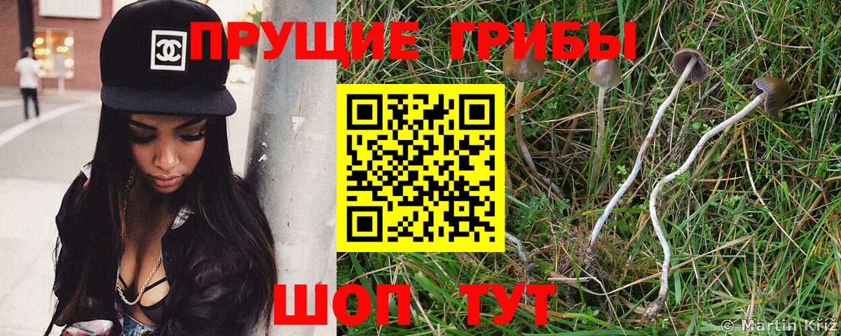 Псилоцибиновые грибы Magic Shrooms Изобильный